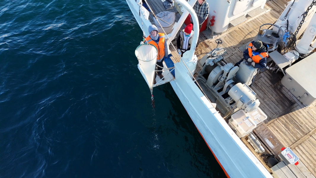 Сеть_Снимок экрана (666)